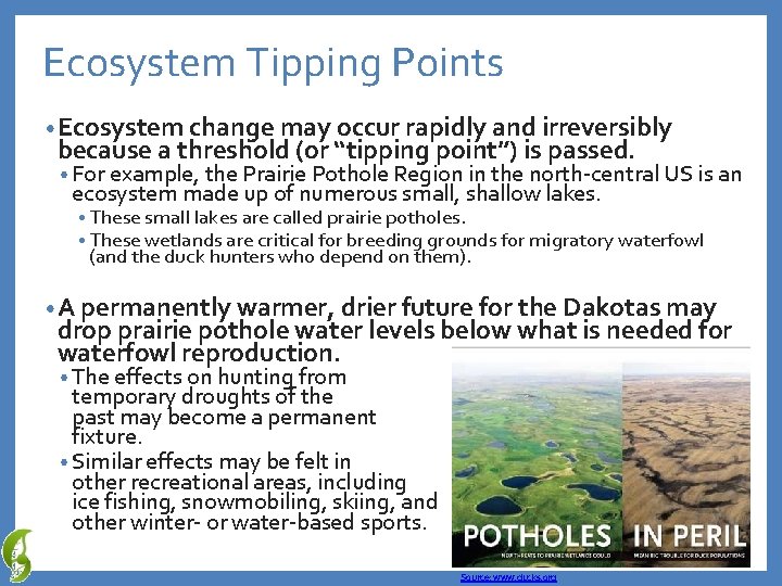 Ecosystem Tipping Points • Ecosystem change may occur rapidly and irreversibly because a threshold