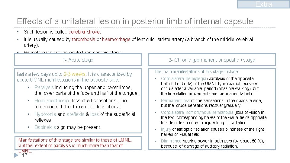Extra Effects of a unilateral lesion in posterior limb of internal capsule • Such
