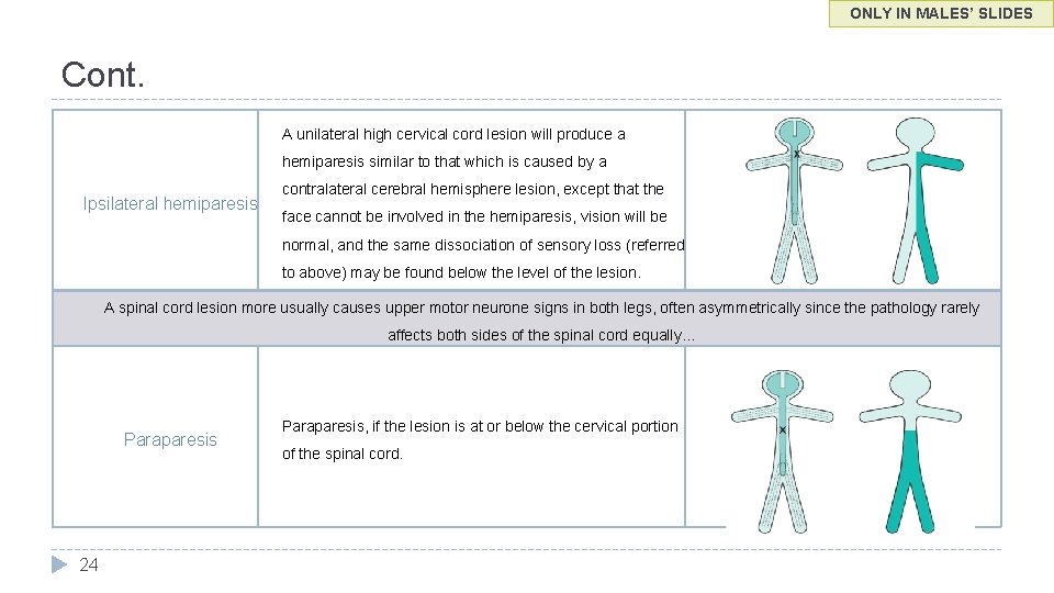 ONLY IN MALES’ SLIDES Cont. A unilateral high cervical cord lesion will produce a