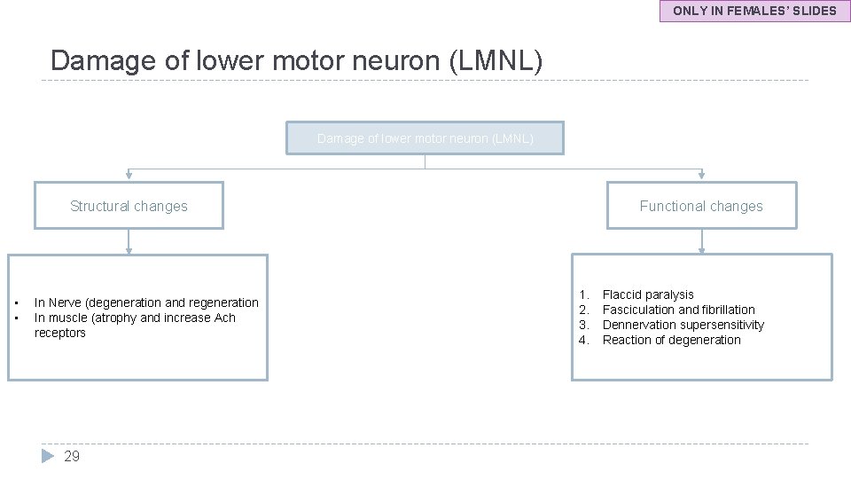 ONLY IN FEMALES’ SLIDES Damage of lower motor neuron (LMNL) Structural changes • •