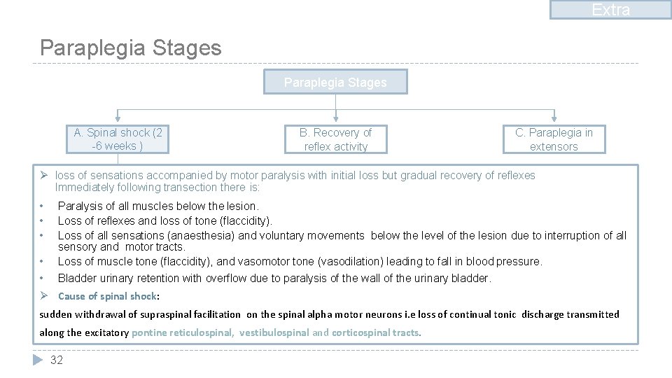 Extra Paraplegia Stages A. Spinal shock (2 -6 weeks ) B. Recovery of reflex