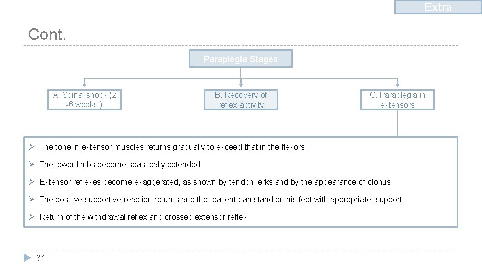 Extra Cont. Paraplegia Stages A. Spinal shock (2 -6 weeks ) B. Recovery of