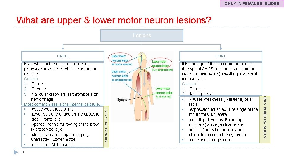ONLY IN FEMALES’ SLIDES What are upper & lower motor neuron lesions? Lesions Is