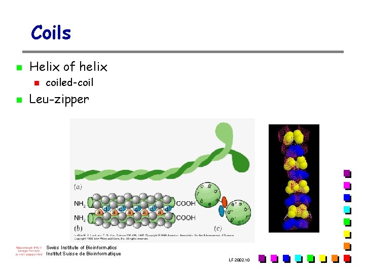 Coils n Helix of helix n n coiled-coil Leu-zipper Swiss Institute of Bioinformatics Institut Coils n Helix of helix n n coiled-coil Leu-zipper Swiss Institute of Bioinformatics Institut