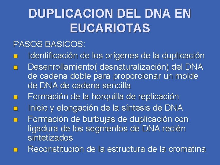DUPLICACION DEL DNA EN EUCARIOTAS PASOS BASICOS: n Identificación de los orígenes de la