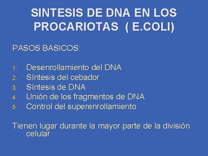 SINTESIS DE DNA EN LOS PROCARIOTAS ( E. COLI) PASOS BASICOS: 1. 2. 3.