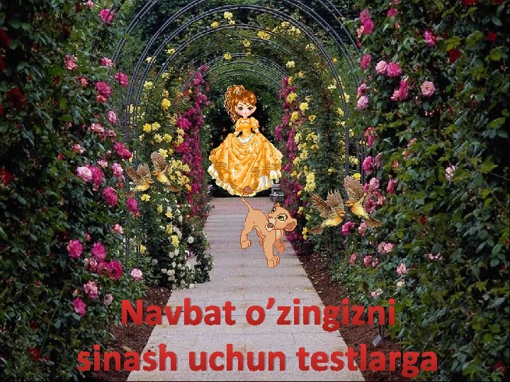 Navbat o’zingizni sinash uchun testlarga 