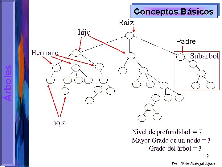 Conceptos Básicos Raíz hijo Padre Subárbol Árboles Hermano hoja Nivel de profundidad = 7