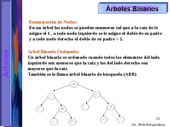 Árboles Binarios Árboles Enumeración de Nodos: En un árbol los nodos se pueden enumerar