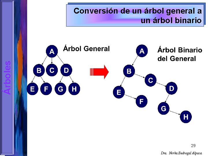 Árboles Conversión de un árbol general a un árbol binario 29 Dra. Norka Bedregal