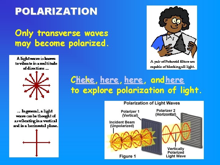 POLARIZATION Only transverse waves may become polarized. Click here , and here to explore