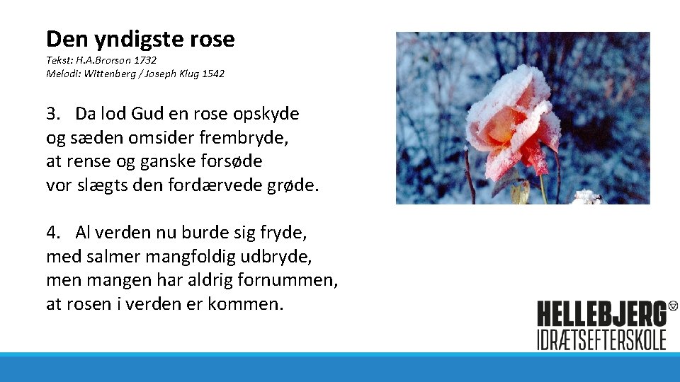 Den yndigste rose Tekst: H. A. Brorson 1732 Melodi: Wittenberg / Joseph Klug 1542