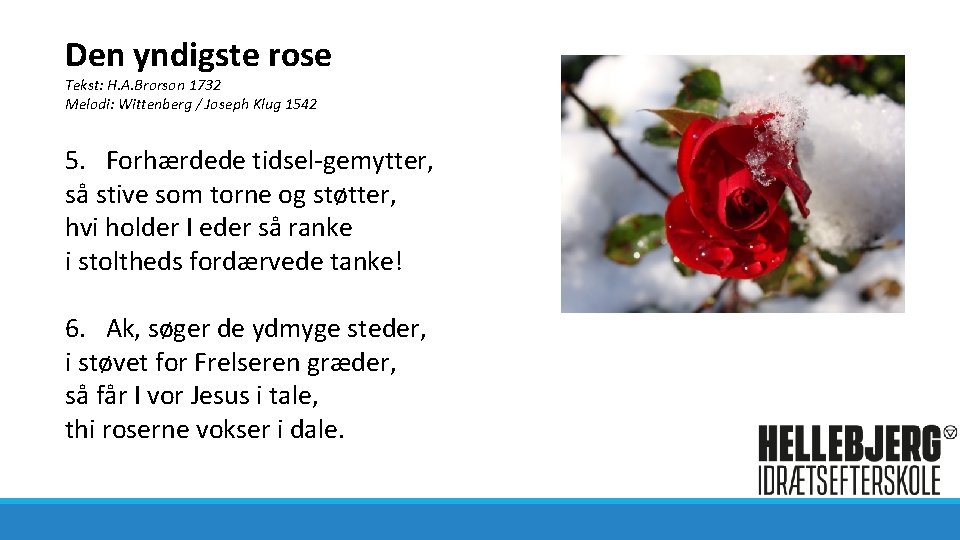 Den yndigste rose Tekst: H. A. Brorson 1732 Melodi: Wittenberg / Joseph Klug 1542