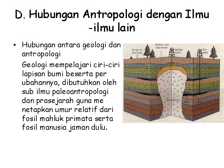 D. Hubungan Antropologi dengan Ilmu -ilmu lain • Hubungan antara geologi dan antropologi Geologi