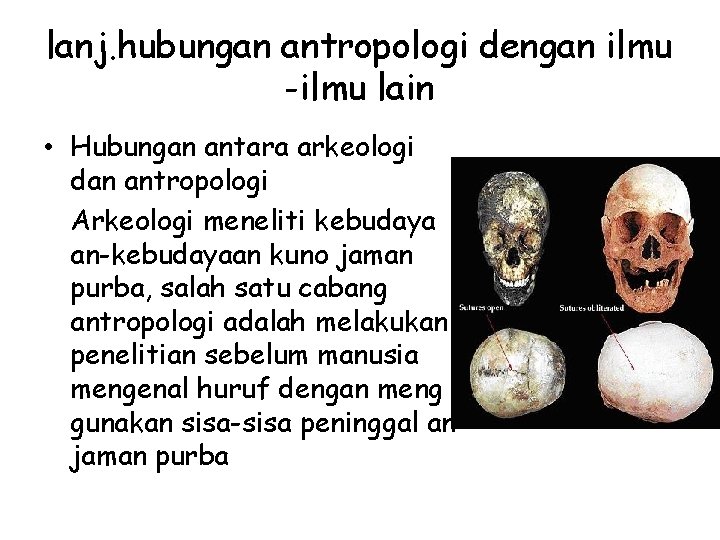 lanj. hubungan antropologi dengan ilmu -ilmu lain • Hubungan antara arkeologi dan antropologi Arkeologi