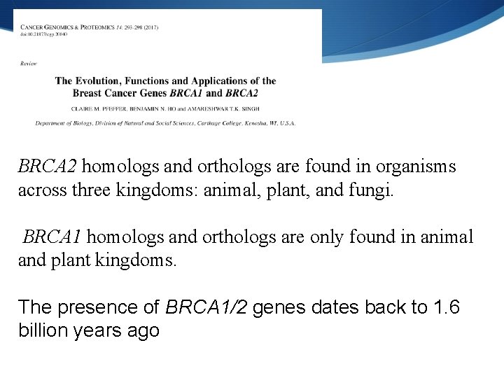 BRCA 2 homologs and orthologs are found in organisms across three kingdoms: animal, plant,