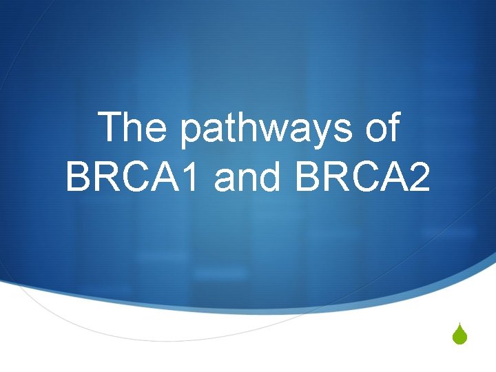 The pathways of BRCA 1 and BRCA 2 S 