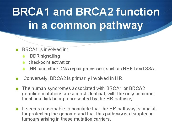 BRCA 1 and BRCA 2 function in a common pathway S BRCA 1 is