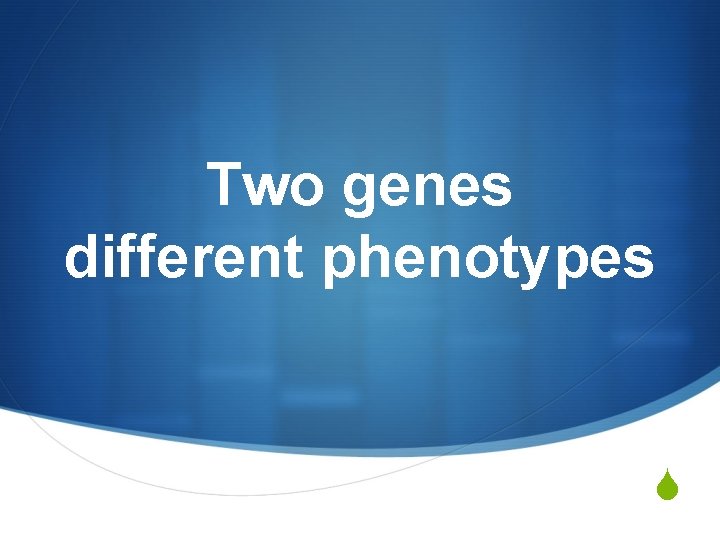 Two genes different phenotypes S 