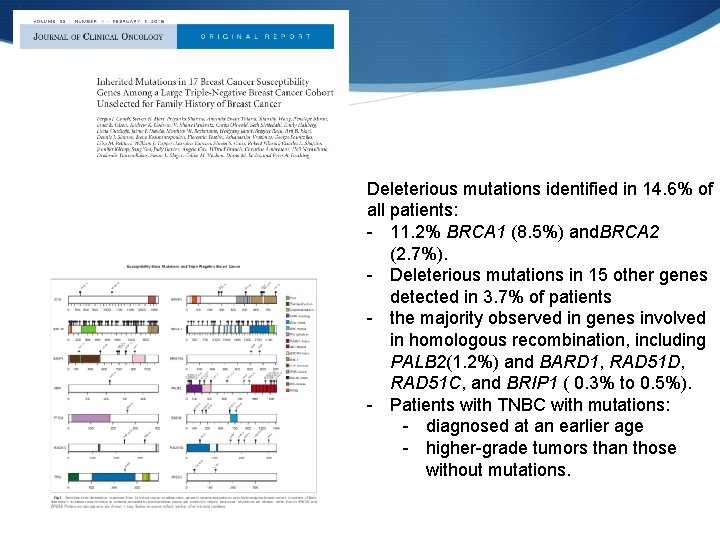 Deleterious mutations identified in 14. 6% of all patients: - 11. 2% BRCA 1