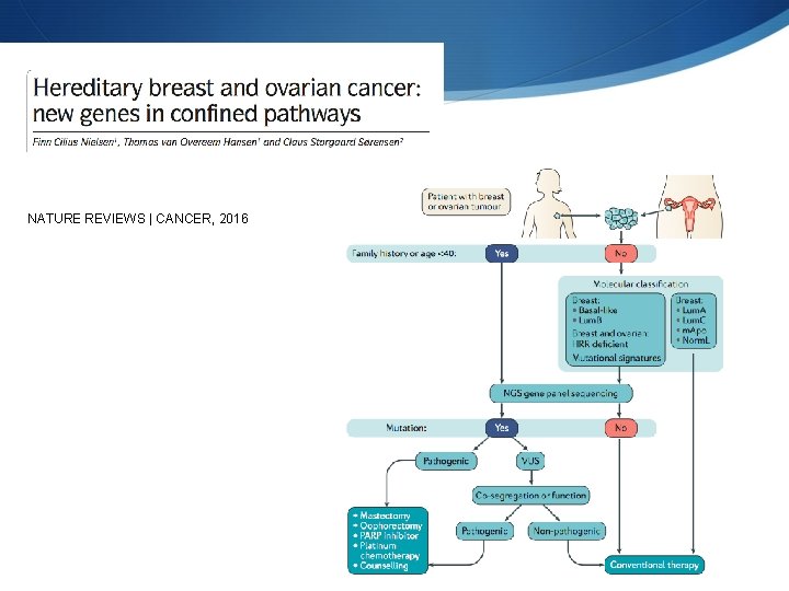 NATURE REVIEWS | CANCER, 2016 