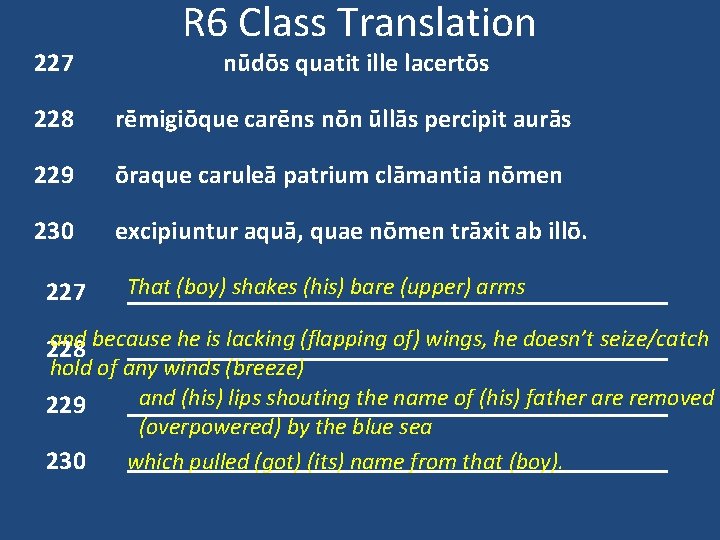 227 R 6 Class Translation nūdōs quatit ille lacertōs 228 rēmigiōque carēns nōn ūllās