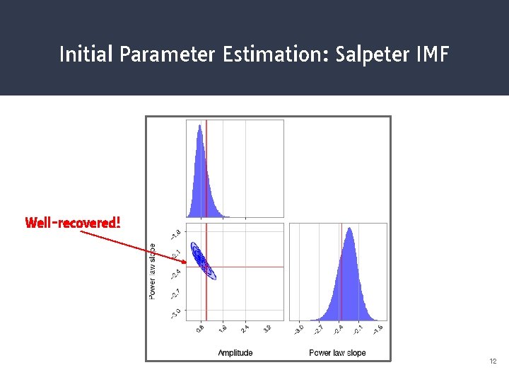 Initial Parameter Estimation: Salpeter IMF Well-recovered! 12 