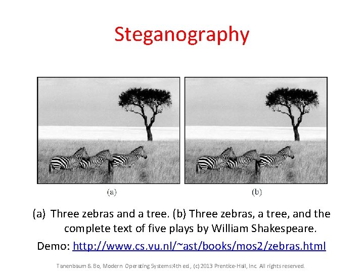 Steganography (a) Three zebras and a tree. (b) Three zebras, a tree, and the