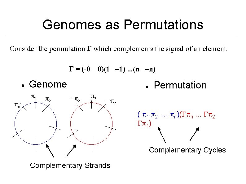 Genomes as Permutations Consider the permutation which complements the signal of an element. =