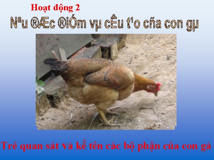 Hoạt động 2 Trẻ quan sát và kể tên các bộ phận của con