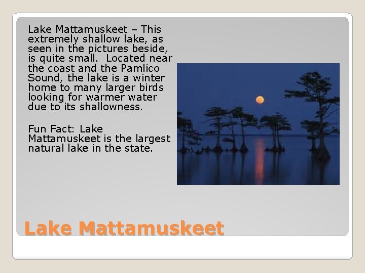 Lake Mattamuskeet – This extremely shallow lake, as seen in the pictures beside, is