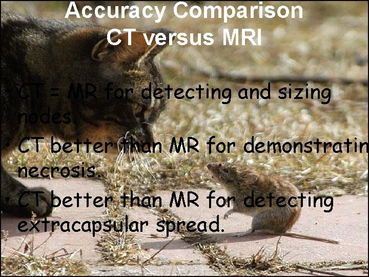 Accuracy Comparison CT versus MRI • CT = MR for detecting and sizing nodes.