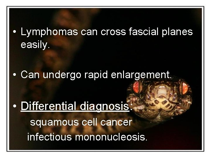  • Lymphomas can cross fascial planes easily. • Can undergo rapid enlargement. •