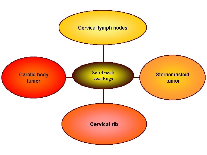 Cervical lymph nodes Carotid body tumor Solid neck swellings Cervical rib Sternomastoid tumor 