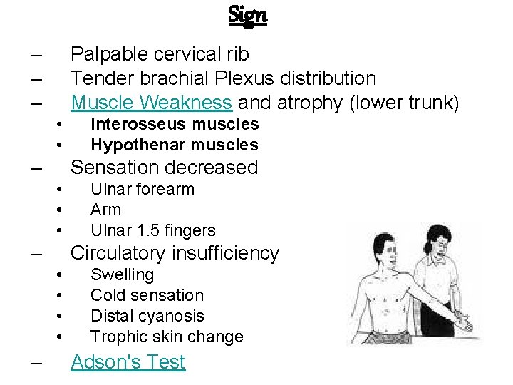 Sign – – – Palpable cervical rib Tender brachial Plexus distribution Muscle Weakness and
