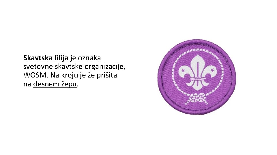 Skavtska lilija je oznaka svetovne skavtske organizacije, WOSM. Na kroju je že prišita na