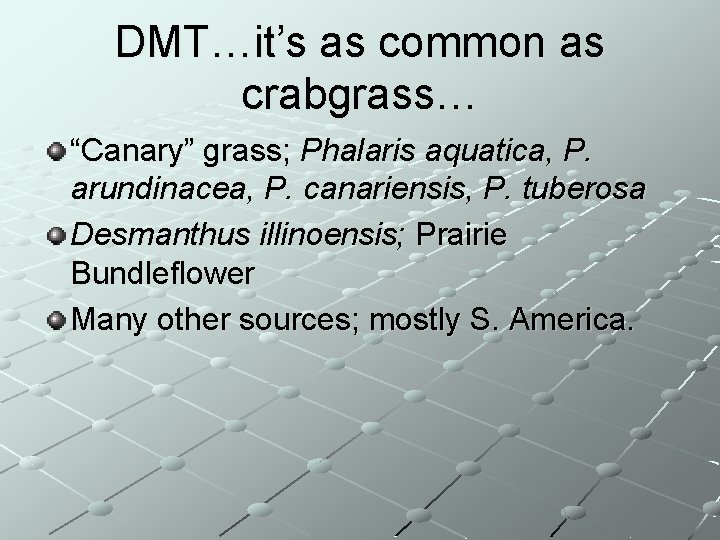 DMT…it’s as common as crabgrass… “Canary” grass; Phalaris aquatica, P. arundinacea, P. canariensis, P.