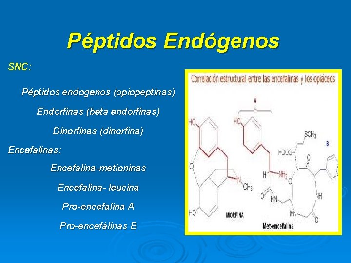 Péptidos Endógenos SNC: Péptidos endogenos (opiopeptinas) Endorfinas (beta endorfinas) Dinorfinas (dinorfina) Encefalinas: Encefalina-metioninas Encefalina-