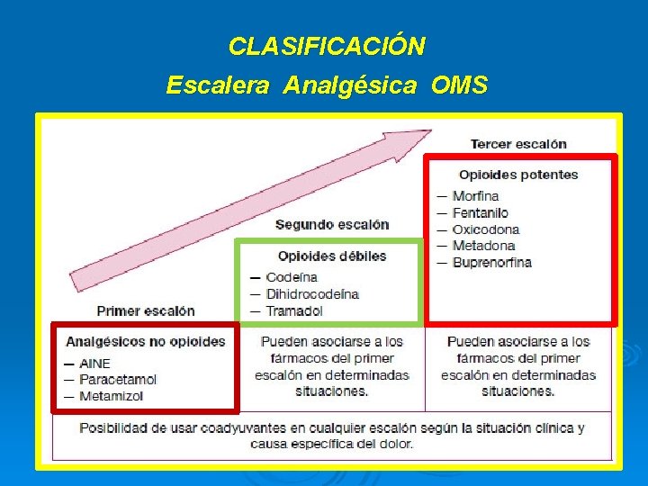 CLASIFICACIÓN Escalera Analgésica OMS 