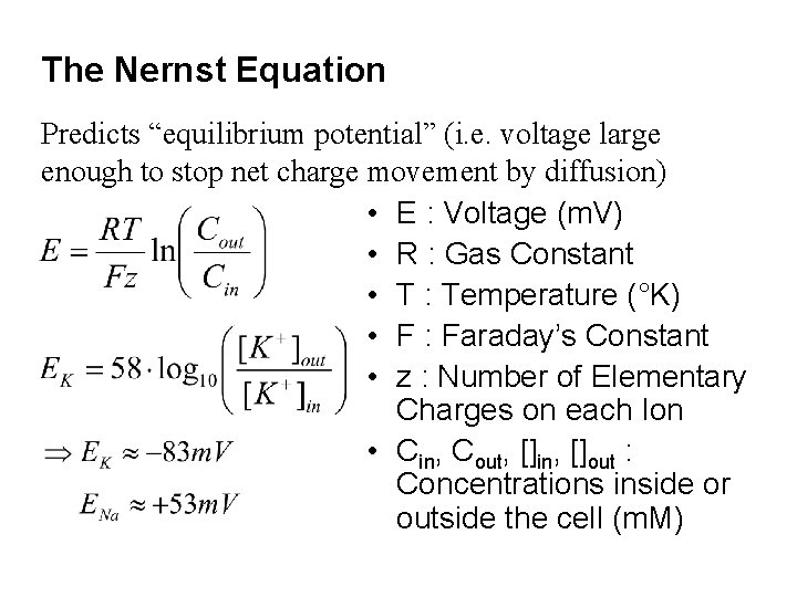 The Nernst Equation Predicts “equilibrium potential” (i. e. voltage large enough to stop net
