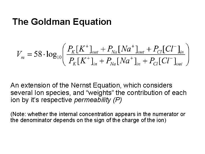 The Goldman Equation An extension of the Nernst Equation, which considers several Ion species,