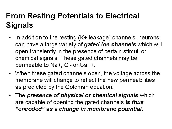 From Resting Potentials to Electrical Signals • In addition to the resting (K+ leakage)