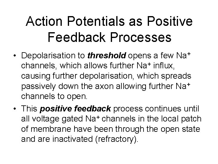Action Potentials as Positive Feedback Processes • Depolarisation to threshold opens a few Na+