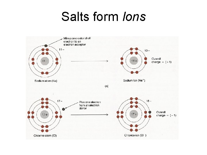 Salts form Ions 