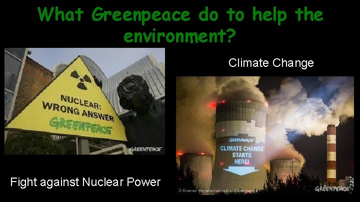What Greenpeace do to help the environment? Climate Change Fight against Nuclear Power 