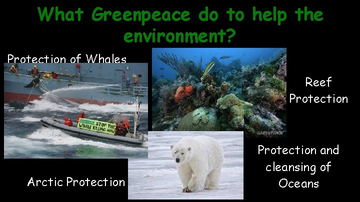 What Greenpeace do to help the environment? Protection of Whales Reef Protection Arctic Protection