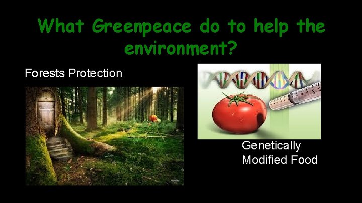 What Greenpeace do to help the environment? Forests Protection Fight against Genetically Modified Food