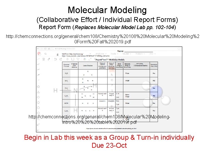 Molecular Modeling (Collaborative Effort / Individual Report Forms) Report Form (Replaces Molecular Model Lab