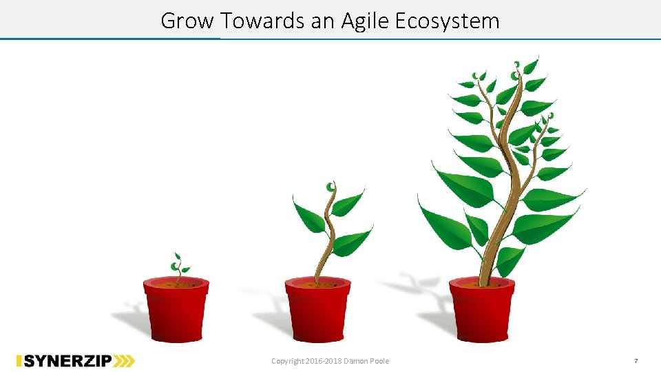 Grow Towards an Agile Ecosystem Copyright 2016 -2018 Damon Poole 7 