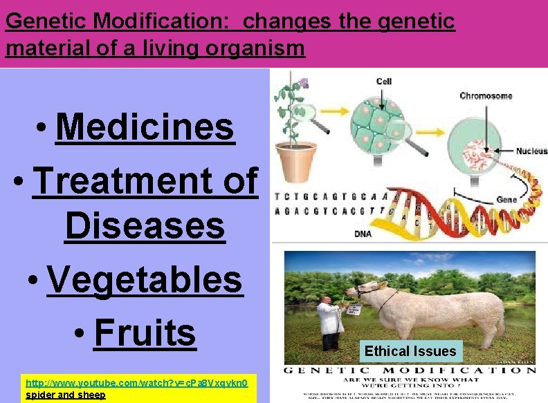 Genetic Modification: changes the genetic material of a living organism • Medicines • Treatment